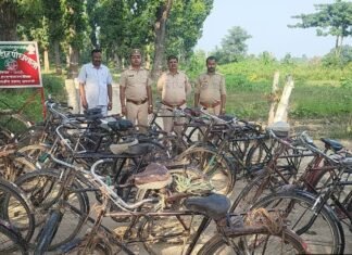 जंगल से जलौनी लकड़ी ले जा रही 18 साइकिल पकड़ीं:श्रावस्ती में तस्कर फरार हुए, देर शाम भिनगा कार्यालय से विभाग ने की कार्रवाई