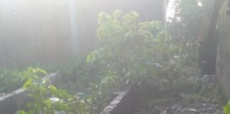 रोजगार सेवक ने चकरोड पर कब्जा कर ग्रामीण को धमकाया:मिहींपुरवा में रास्ते पर किया अतिक्रमण, एसडीएम ने जांच के आदेश दिए रोजगार सेवक ने चकरोड पर कब्जा कर ग्रामीण को धमकाया:मिहींपुरवा में रास्ते पर किया अतिक्रमण, एसडीएम ने जांच के आदेश दिए