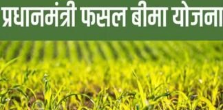 यूपी:फसल बीमा के नाम पर बैंक का खेल, क्लेम से चूके किसान; धोखाधड़ी का ये मामला सुन रह जाएंगे हैरान – Farmers Allegedly Denied Crop Insurance Claims Despite Premium Deductions By Up Gramin Bank यूपी:फसल बीमा के नाम पर बैंक का खेल, क्लेम से चूके किसान; धोखाधड़ी का ये मामला सुन रह जाएंगे हैरान - Farmers Allegedly Denied Crop Insurance Claims Despite Premium Deductions By Up Gramin Bank