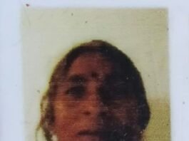खेत में सब्जी तोड़ने गई महिला को तेंदुए ने दौड़ाया:2 शावकों के साथ केले के खेत में डेरा, गांव में दहशत; वन विभाग ने टीम भेजी