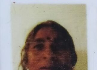 खेत में सब्जी तोड़ने गई महिला को तेंदुए ने दौड़ाया:2 शावकों के साथ केले के खेत में डेरा, गांव में दहशत; वन विभाग ने टीम भेजी