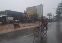 Shravasti News:फसल पर फिर टूटा मौसम का कहर – Weather Wreaks Havoc On Crops Once Again गिरंट क्षेत्र में गिरी मक्के की फसल