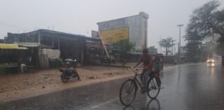 Shravasti News:फसल पर फिर टूटा मौसम का कहर – Weather Wreaks Havoc On Crops Once Again गिरंट क्षेत्र में गिरी मक्के की फसल