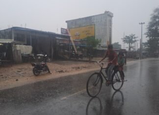 Shravasti News:फसल पर फिर टूटा मौसम का कहर – Weather Wreaks Havoc On Crops Once Again गिरंट क्षेत्र में गिरी मक्के की फसल