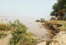 Bahraich News:कटान के मुहाने पर गोलागंज कोठार गांव, 30 बीघा जमीन नदी में समाई – Golaganj Kothar Village On The Verge Of Erosion; 30 Bighas Of Land Swallowed By The River गांव में कटान करती नदी व प्रभावित क्षेत्र का निरीक्षण करते अधिकारी।