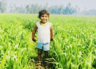 श्रावस्ती में करंट लगने से मासूम की मौत:पंखे का प्लग मुंह में लगाने से हुआ हादसा, डॉक्टर ने मृत घोषित किया