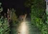 Bahraich News:हर शाम स्कूल के पास दिख रहा तेंदुआ, छूटी पढ़ाई – Leopard Spotted Near School Every Evening; Studies Disrupted Bahraich News:हर शाम स्कूल के पास दिख रहा तेंदुआ, छूटी पढ़ाई - Leopard Spotted Near School Every Evening; Studies Disrupted