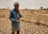 राजस्थान के 31 जिलों में चारे और पानी का संकट, राज्य सरकार ने पंजाब, हरियाणा से मांगी मदद राजस्थान के 31 जिलों में चारे और पानी का संकट, राज्य सरकार ने पंजाब, हरियाणा से मांगी मदद