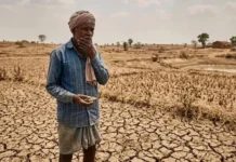 राजस्थान के 31 जिलों में चारे और पानी का संकट, राज्य सरकार ने पंजाब, हरियाणा से मांगी मदद राजस्थान के 31 जिलों में चारे और पानी का संकट, राज्य सरकार ने पंजाब, हरियाणा से मांगी मदद
