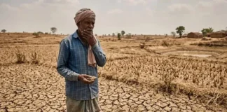 राजस्थान के 31 जिलों में चारे और पानी का संकट, राज्य सरकार ने पंजाब, हरियाणा से मांगी मदद राजस्थान के 31 जिलों में चारे और पानी का संकट, राज्य सरकार ने पंजाब, हरियाणा से मांगी मदद