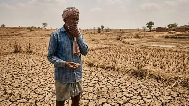 राजस्थान के 31 जिलों में चारे और पानी का संकट, राज्य सरकार ने पंजाब, हरियाणा से मांगी मदद