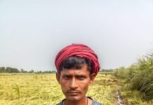 Shravasti News:बारिश बनी आफत, खेतों में डूबी किसानों की मेहनत – Rain Spells Disaster; Farmers’ Hard Work Submerged In The Fields खेत में भरे पानी से फसल को बचाने के लिए फसल काटकर नाली बनाते किसान।
