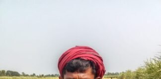 Shravasti News:बारिश बनी आफत, खेतों में डूबी किसानों की मेहनत – Rain Spells Disaster; Farmers’ Hard Work Submerged In The Fields खेत में भरे पानी से फसल को बचाने के लिए फसल काटकर नाली बनाते किसान।