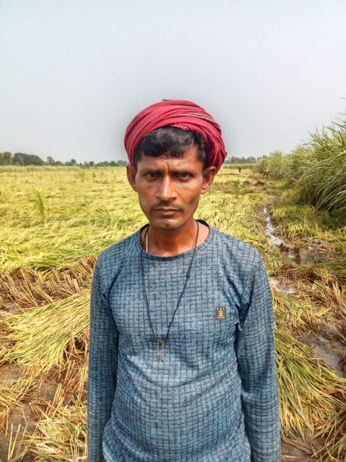 khata-ma-bhara-pana-sa-fasal-ka-bcana-ka-le-fasal-katakara-nal-bnata-kasana_632100306a754ef59cd448c86e857f4a.jpeg खेत में भरे पानी से फसल को बचाने के लिए फसल काटकर नाली बनाते किसान।