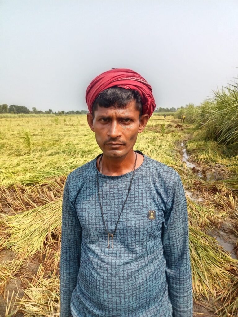 Shravasti News:बारिश बनी आफत, खेतों में डूबी किसानों की मेहनत – Rain Spells Disaster; Farmers’ Hard Work Submerged In The Fields
