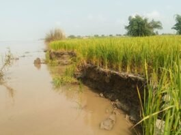 Bahraich News:14 बीघा जमीन और चार पेड़ सरयू की धारा में समाए – 14 Bighas Of Land And Four Trees Were Swallowed By The Waters Of The Saryu Bahraich News:14 बीघा जमीन और चार पेड़ सरयू की धारा में समाए - 14 Bighas Of Land And Four Trees Were Swallowed By The Waters Of The Saryu