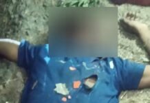 बस और बाइक की भिड़ंत में युवक की मौत:कैसरगंज के हरिहरपुर पेट्रोल पंप के पास हादसा, चालक फरार