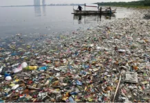 गंगा और अन्य नदियों को प्लास्टिक मुक्त बनाने की तैयारी, त्योहारों और धार्मिक मेलों में होगी विशेष निगरानी; नया प्रोटोकॉल जारी गंगा और अन्य नदियों को प्लास्टिक मुक्त बनाने की तैयारी, त्योहारों और धार्मिक मेलों में होगी विशेष निगरानी; नया प्रोटोकॉल जारी