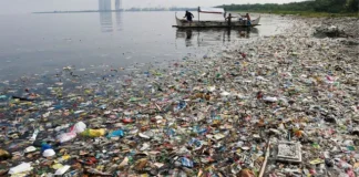 गंगा और अन्य नदियों को प्लास्टिक मुक्त बनाने की तैयारी, त्योहारों और धार्मिक मेलों में होगी विशेष निगरानी; नया प्रोटोकॉल जारी गंगा और अन्य नदियों को प्लास्टिक मुक्त बनाने की तैयारी, त्योहारों और धार्मिक मेलों में होगी विशेष निगरानी; नया प्रोटोकॉल जारी