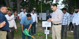 उत्तर मध्य रेलवे ने रचा हरियाली का ऐतिहासिक कीर्तिमान, सुबेदारगंज में लगा 1.11 करोड़वां पौधा
