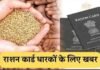 बरेली:जिले में कोटे पर निशुल्क राशन का वितरण शुरू, इस तारीख तक बांटा जाएगा खाद्यान्न – Free Rations Distribution At Fair-price Shops Begins In Bareilly District free rations distribution at fair-price shops begins in Bareilly district