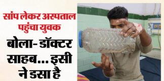 बरेली:सांप ने डसा तो उसे डिब्बे में बंद कर जिला अस्पताल पहुंचा युवक, डॉक्टर भी रह गए हैरान – Man Reached The District Hospital After Locking The Snake In A Box In Bareilly man reached the district hospital after locking the snake in a box in Bareilly
