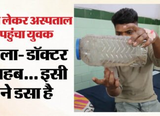 बरेली:सांप ने डसा तो उसे डिब्बे में बंद कर जिला अस्पताल पहुंचा युवक, डॉक्टर भी रह गए हैरान – Man Reached The District Hospital After Locking The Snake In A Box In Bareilly man reached the district hospital after locking the snake in a box in Bareilly