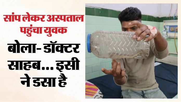 man reached the district hospital after locking the snake in a box in Bareilly