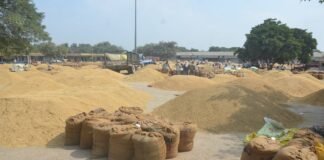 अलीगढ़:मंडी में रात काट रहे किसान, फिर भी नहीं बिक रहा धान, वाहनों की कतार से लड़खड़ाई यातायात व्यवस्था – Aligarh Dhanipur Mandi Paddy Sale Chaos अलीगढ़:मंडी में रात काट रहे किसान, फिर भी नहीं बिक रहा धान, वाहनों की कतार से लड़खड़ाई यातायात व्यवस्था - Aligarh Dhanipur Mandi Paddy Sale Chaos