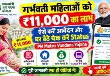 गर्भवती महिलाओं को ₹11,000 का लाभ, ऐसे करें आवेदन और घर बैठे चेक करें Status, PM Matru Vandana Yojana