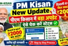 PM Kisan New Update: पीएम किसान में बड़ा अपडेट, दिवाली से पहले मिल सकते हैं ₹2000, ऐसे चेक करें स्टेट्स