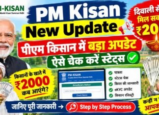 PM Kisan New Update: पीएम किसान में बड़ा अपडेट, दिवाली से पहले मिल सकते हैं ₹2000, ऐसे चेक करें स्टेट्स