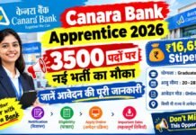 3500 पदों पर नई भर्ती का मौका, ₹16,650 Stipend, जानें आवेदन की पूरी जानकारी Canara Bank Apprentice 2026