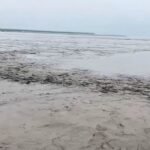 नेपाल से बहकर आ रहे शव, कुशीनगर में अब तक 13 शव बरामद