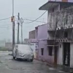 बढ़नी में बारिश से धान की फसल को फायदा:सूखने की कगार पर पहुंची फसलें लहलहाईं, किसानों की चिंता कम हुई बढ़नी में बारिश से धान की फसल को फायदा:सूखने की कगार पर पहुंची फसलें लहलहाईं, किसानों की चिंता कम हुई