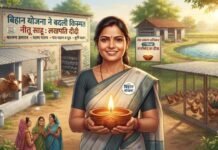बिहान योजना ने बदली किस्मत