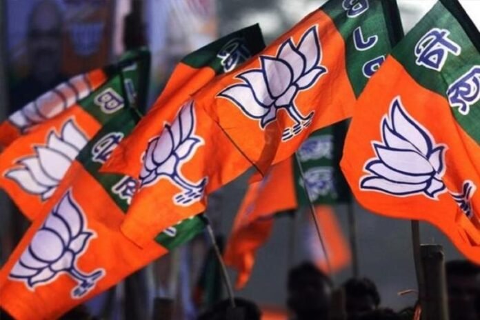 BJP1-2-696x464.jpg