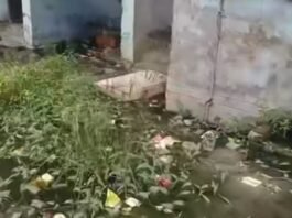 UP: काशीराम कॉलोनी की बदहाल सफाई व्यवस्था, 35-40 लोग बुखार की चपेट में…
