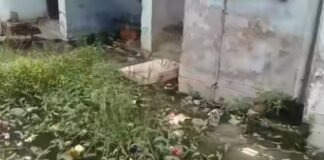 UP: काशीराम कॉलोनी की बदहाल सफाई व्यवस्था, 35-40 लोग बुखार की चपेट में…