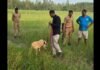 UP: बिजनौर के डबल मर्डर केस में ‘मैरी’ की एंट्री, 3 किमी तक सूंघकर जंगल में सुराग तलाशेगी स्निफर डॉग
