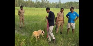 UP: बिजनौर के डबल मर्डर केस में ‘मैरी’ की एंट्री, 3 किमी तक सूंघकर जंगल में सुराग तलाशेगी स्निफर डॉग