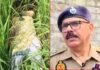 बलिया में मां-बेटी की नृशंस हत्या; घर में मां और खेत में मिला बेटी का शव