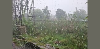 UP: दो घंटे की झमाझम बारिश से उमस भरी गर्मी से मिली राहत, 32 डिग्री तापमान के बीच बारिश से मौसम हुआ सुहाना