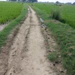 गौरा-पलटा मार्ग बदहाल, ग्रामीणों को आवागमन में परेशानी:ग्रामीणों ने की सड़क को पक्का करने की मांग गौरा-पलटा मार्ग बदहाल, ग्रामीणों को आवागमन में परेशानी:ग्रामीणों ने की सड़क को पक्का करने की मांग