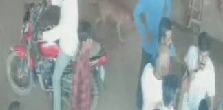 बिलासपुर में भाजपा नेत्री पर कार्रवाई, पद से हटाया गया; पुलिस ने दर्ज की FIR News Desk
