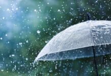 मानसून फिर पकड़ेगा रफ्तार, 2-3 सितंबर को राजस्थान के कई हिस्सों में भारी बारिश की संभावना News Desk